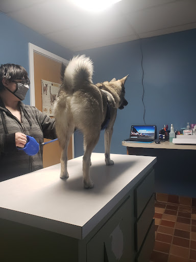 1106 Washington Ave, Holland, MI 49423, USA