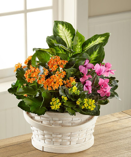 Florist «A Bella Mia Flowers», reviews and photos, 1194 Washington St, Norwood, MA 02062, USA