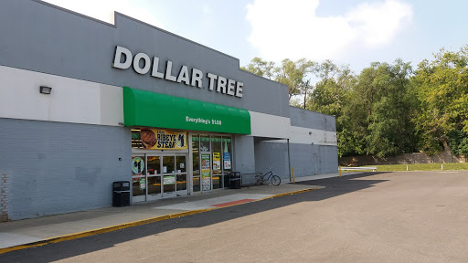 Dollar Store «Dollar Tree», reviews and photos, 1031 E Oakton St, Des Plaines, IL 60018, USA