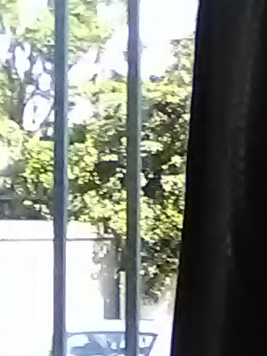 Cell Phone Store «AT&T Authorized Retailer», reviews and photos, 23639 Calabasas Rd, Calabasas, CA 91302, USA