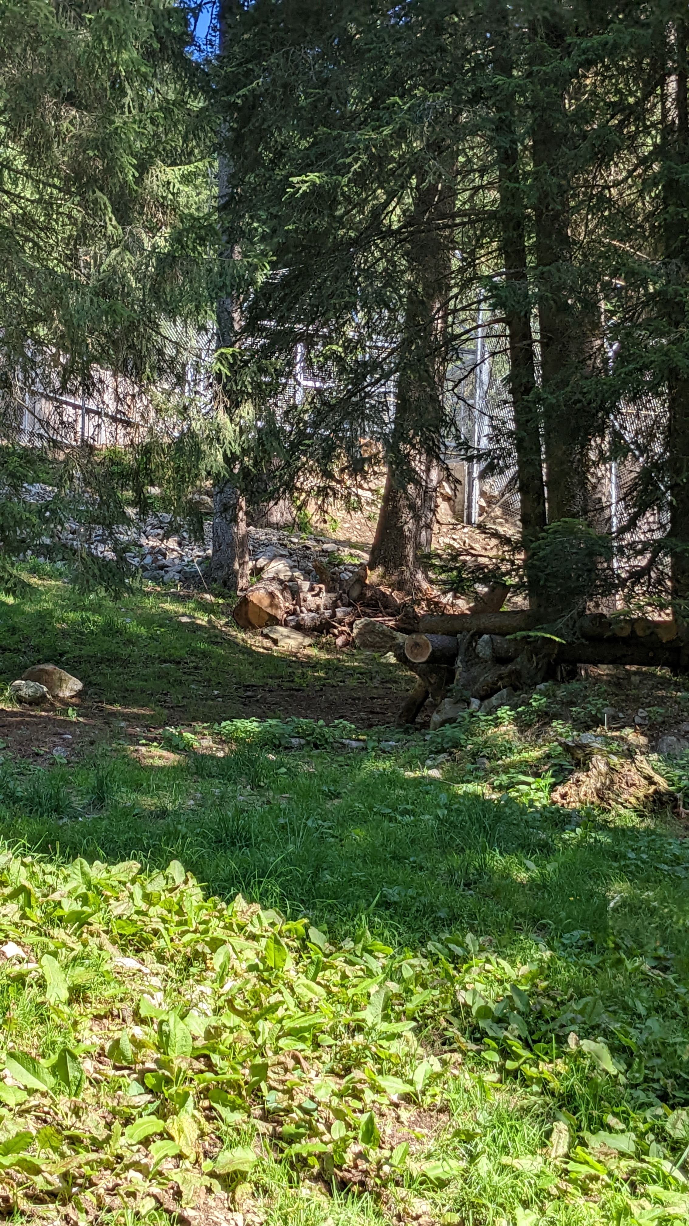 Photo n° 24 de l'avis de Florian.o fait le 11/09/2022 à 15:52