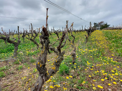Domaine de la Croix de l'Ange à Morancé
