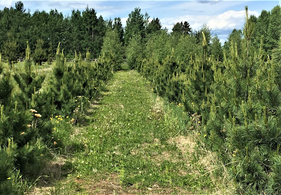 Greengrove Tree Farms Limited