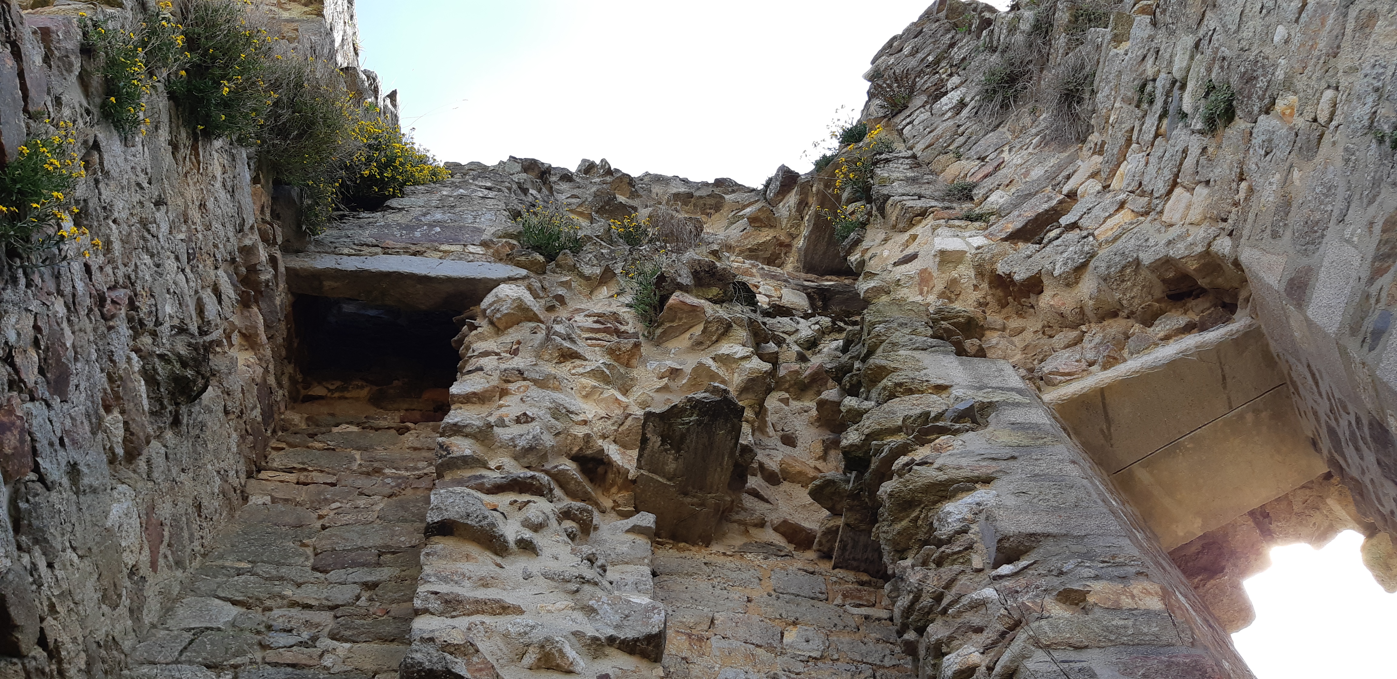 Photo n° 44 de l'avis de Arnaud.u fait le 17/04/2022 à 19:23