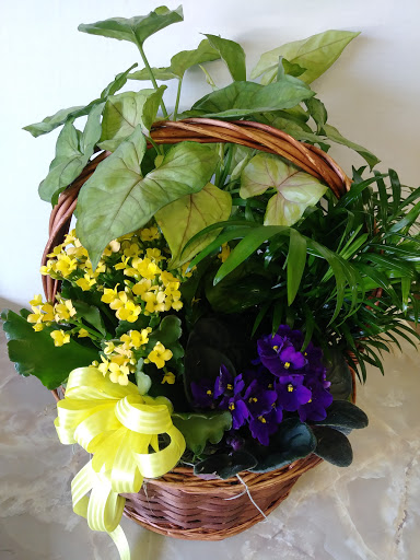 Florist «A Daisy A Day», reviews and photos, 749 Silas Creek Pkwy, Winston-Salem, NC 27127, USA