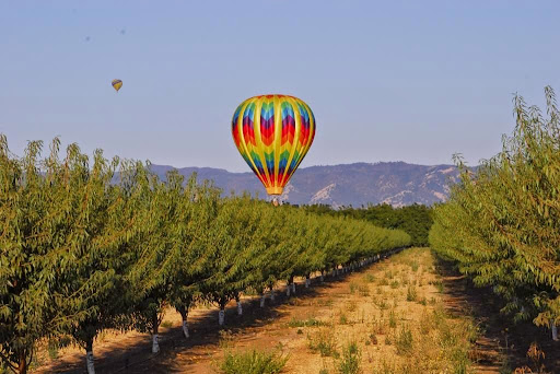 Travel Agency «Jerry Allen Travel Agency», reviews and photos, 20624 Biscayne Blvd, Aventura, FL 33180, USA