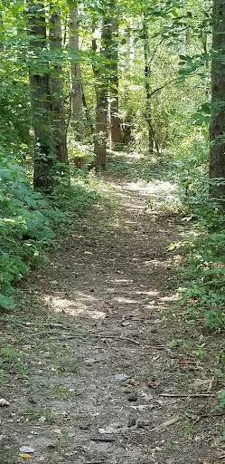 Nature Preserve «Sutherland Nature Sanctuary», reviews and photos, 3998 Diehl Rd, Metamora, MI 48455, USA