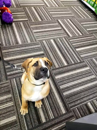 Pet Store «Paws Natural Pet Emporium», reviews and photos, 8551 W Gage Blvd, Kennewick, WA 99336, USA