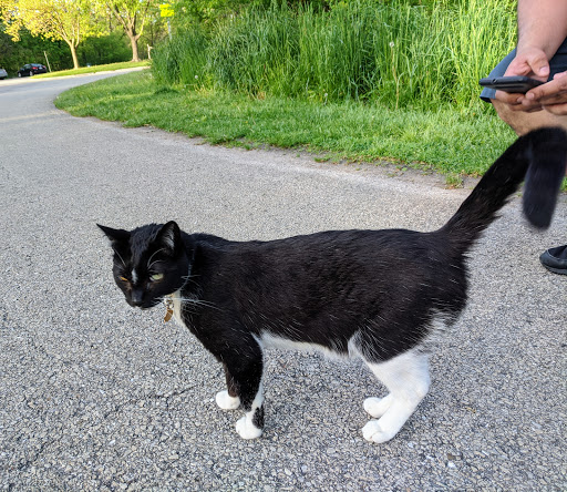 Nature Preserve «Thaddeus S. 