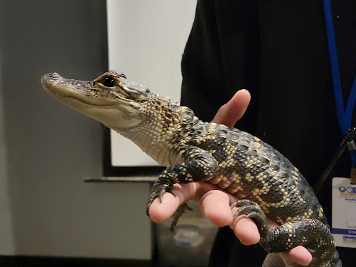 Educational Institution «Institute For Marine Mammal Studies», reviews and photos, 10801 Dolphin Ln, Gulfport, MS 39503, USA