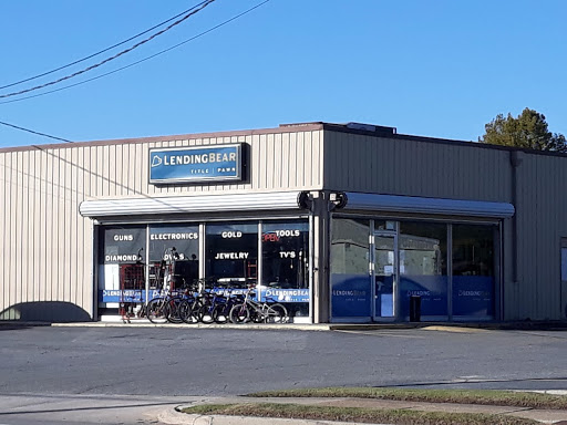 Financial Institution «Lending Bear», reviews and photos