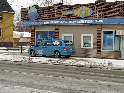 Aquarium Shop «Something Fishy Inc.», reviews and photos, 4764 State Rd, Cleveland, OH 44109, USA