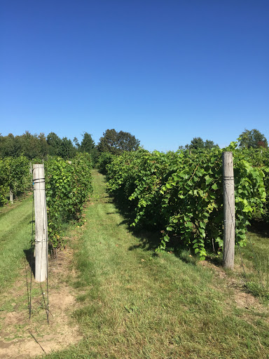 Winery «Oceana Winery & Vineyard», reviews and photos, 4980 S 52nd Ave, New Era, MI 49446, USA