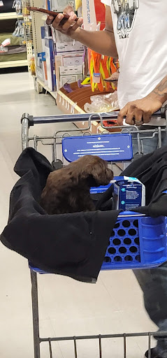 Pet Supply Store «PetSmart», reviews and photos, 15042 Summit Ave, Fontana, CA 92336, USA