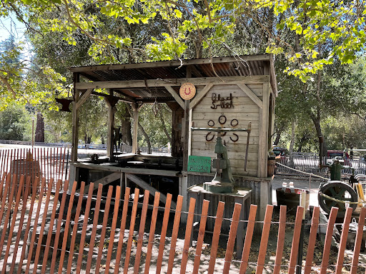 Amusement Park «Roaring Camp Railroads», reviews and photos, 5401 Graham Hill Road, Felton, CA 95018, USA