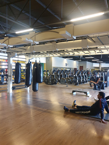 Gym Company - Newtown