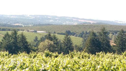 Vineyard «Ponzi Winery», reviews and photos, 19500 SW Mountain Home Rd, Sherwood, OR 97140, USA