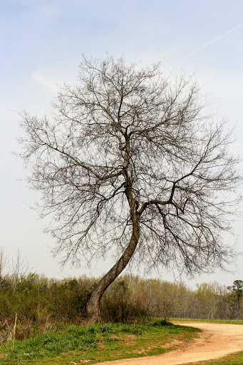 National Park «Kennesaw Mountain National Battlefield Park», reviews and photos, 900 Kennesaw Mountain Dr, Kennesaw, GA 30188, USA