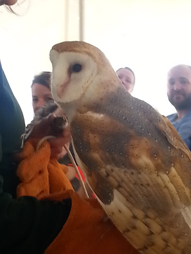 Museum «National Great Rivers Museum», reviews and photos, Lock and Dam Way, Alton, IL 62002, USA