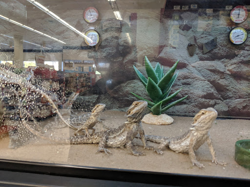 Pet Supply Store «Petco Animal Supplies», reviews and photos, 420 El Cerrito Plaza, El Cerrito, CA 94530, USA