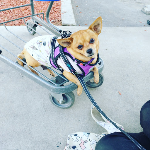 Pet Supply Store «PetSmart», reviews and photos, 3220 W Shaw Ave, Fresno, CA 93711, USA