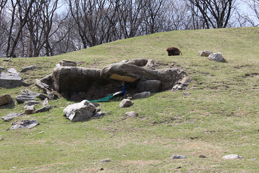 Zoo «Bronx Zoo», reviews and photos, 2300 Southern Blvd, Bronx, NY 10460, USA