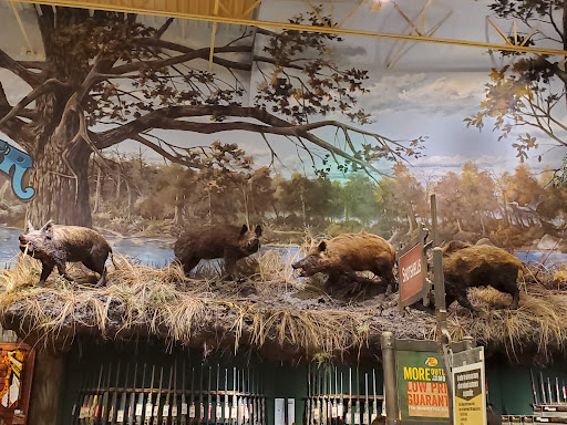 Sporting Goods Store «Bass Pro Shops», reviews and photos, 1000 Bass Pro Dr NW, Altoona, IA 50009, USA