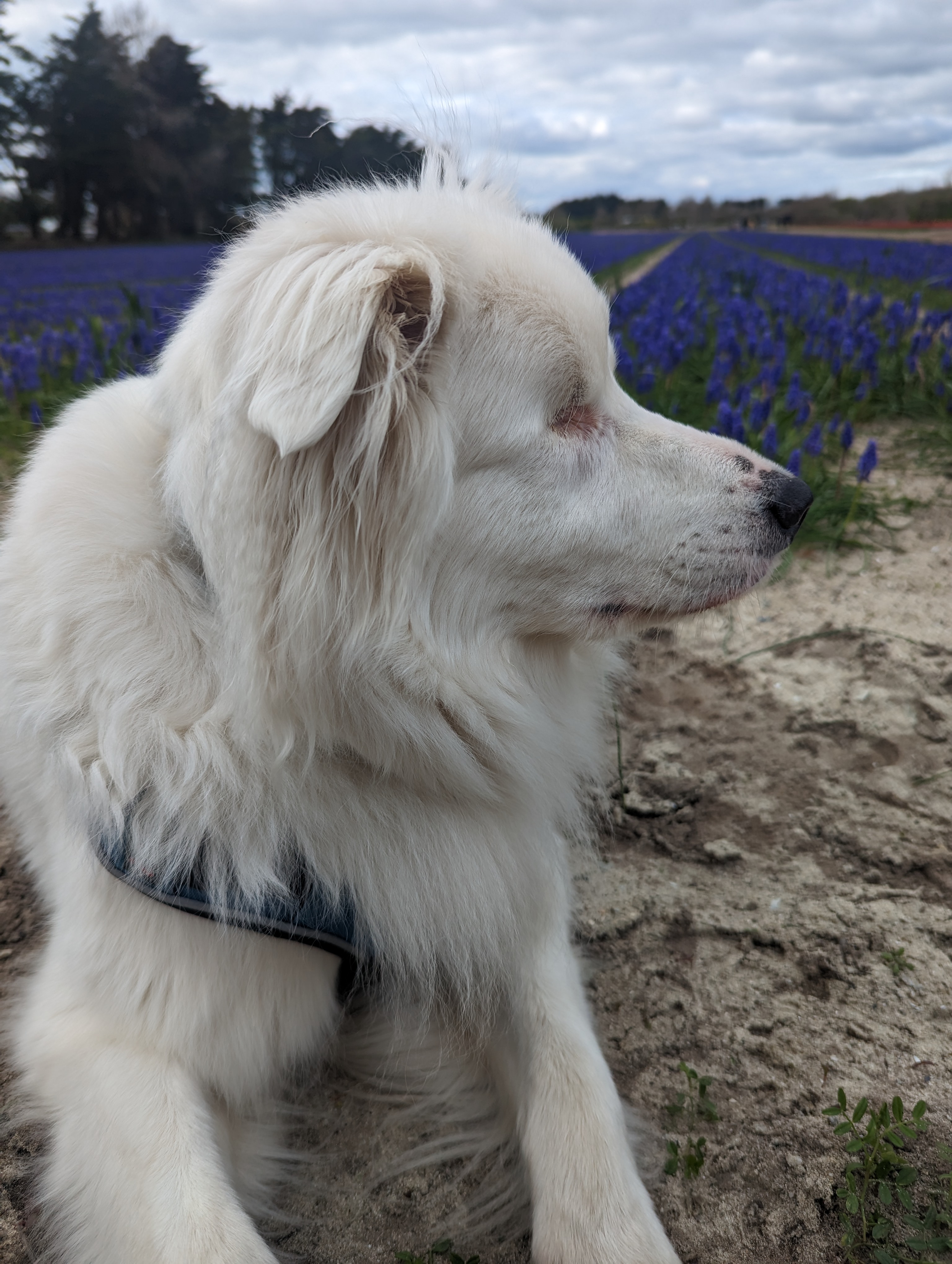 Photo n° 16 de l'avis de Jersey.h fait le 02/04/2023 à 21:00