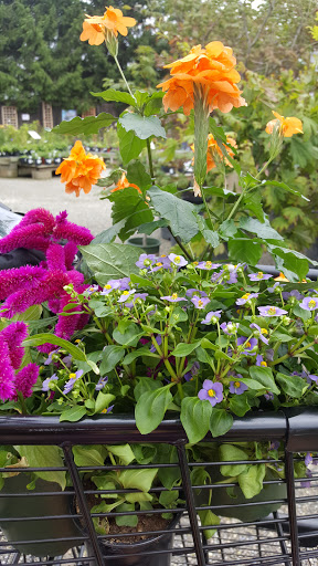 Florist «Breezewood Gardens & Gifts», reviews and photos, 17600 Chillicothe Rd, Chagrin Falls, OH 44023, USA