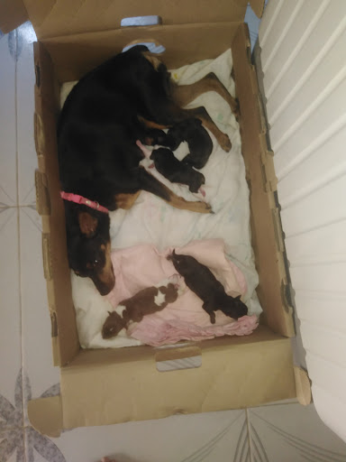 Clima Técnica Perú