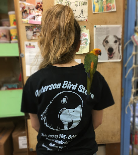 Bird Shop «Paterson Bird Store», reviews and photos, 13 Furler St # 1, Totowa, NJ 07512, USA