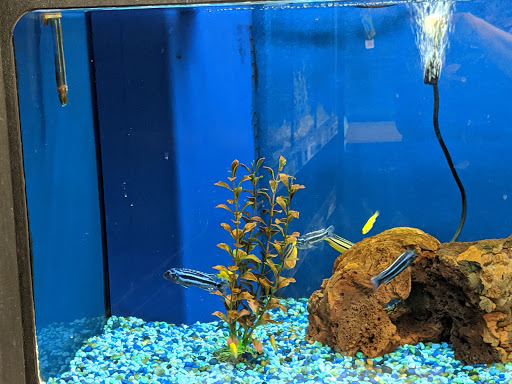 Pet Supply Store «Petco Animal Supplies», reviews and photos, 3464 Towne Blvd, Franklin, OH 45005, USA