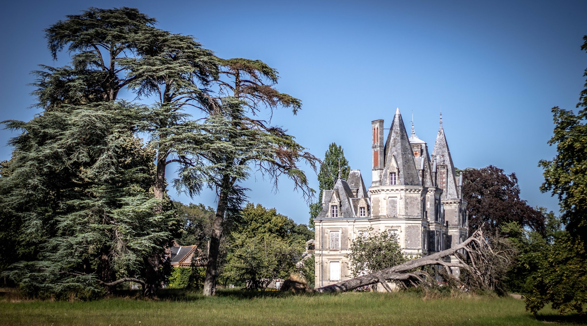 Photo n° 4 de l'avis de Kevin.e fait le 22/07/2020 à 05:27