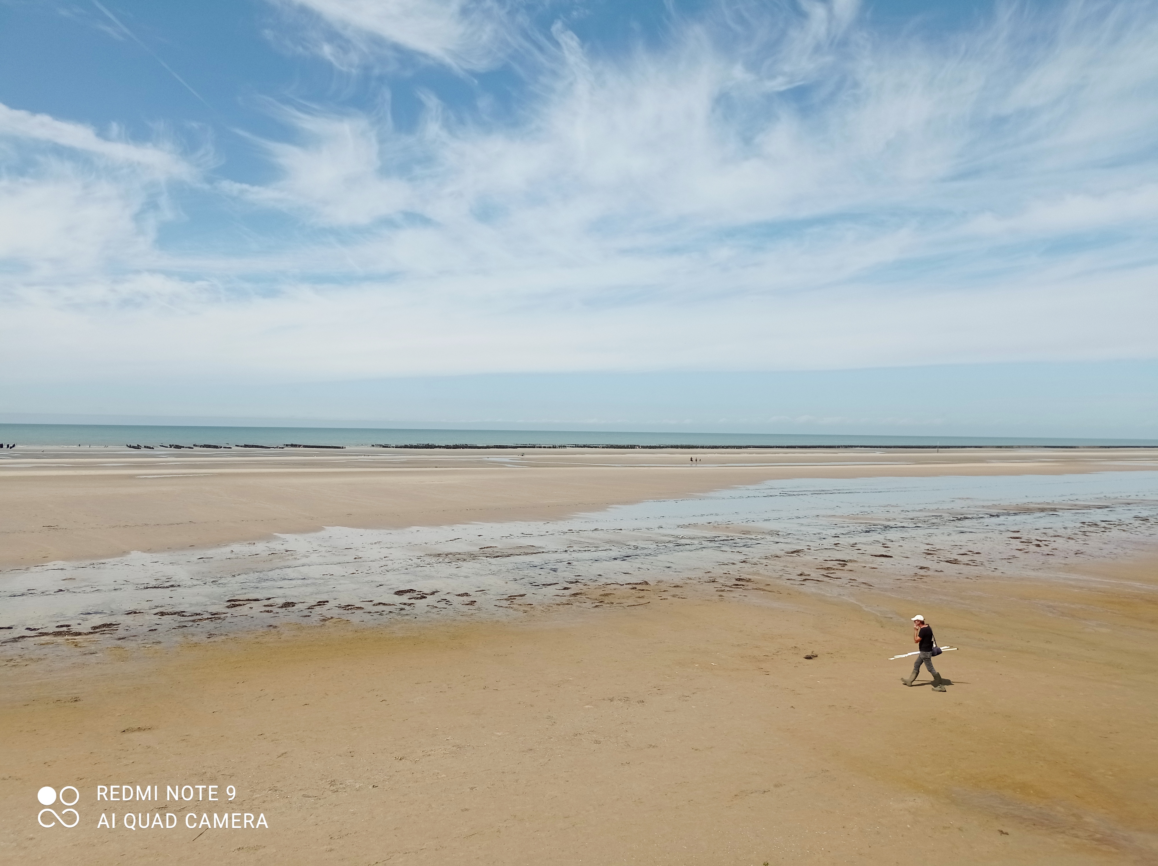 Photo n° 9 de l'avis de Michael.u fait le 15/08/2021 à 18:06