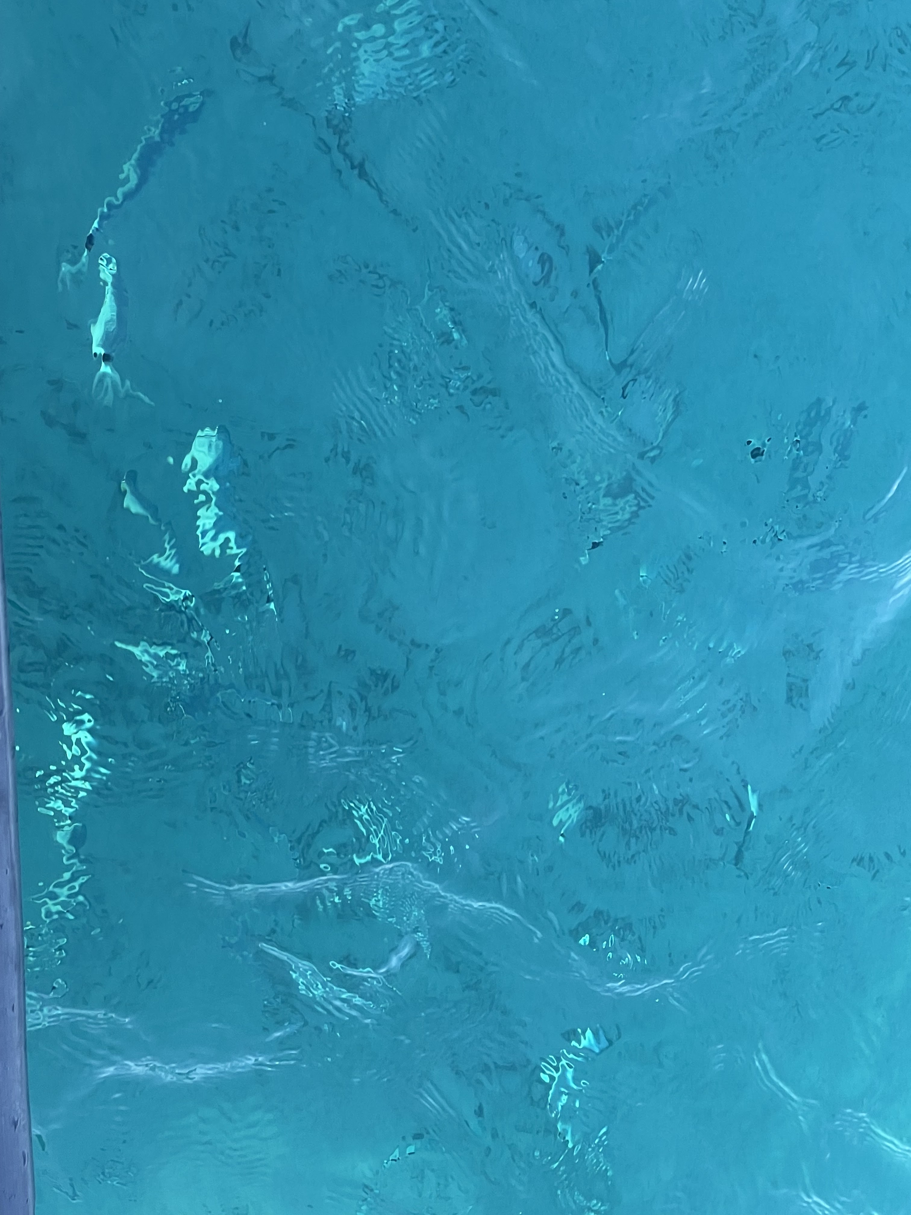 Photo n° 5 de l'avis de Gibert.a fait le 29/08/2022 à 17:46