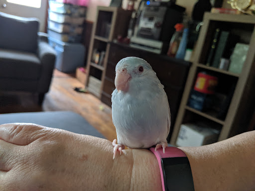 Pet Supply Store «Pet Supplies Plus», reviews and photos, 5708 State St, Saginaw, MI 48603, USA