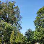 Photo n°1 de l'avis de Julitsch.a fait le 05/06/2023 à 09:21 sur le  Waldgasthaus am Schwarzenbruch à Allenbach