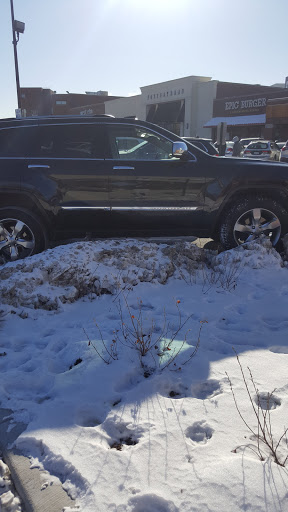 Shopping Mall «North & Sheffield Commons», reviews and photos, 1000 W North Ave, Chicago, IL 60642, USA