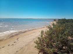 Photo de Gladstone Bay Beach avec rivage droit, long
