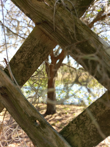 Park «Longwood Park», reviews and photos, 6050 Longwood Run Blvd, Sarasota, FL 34243, USA