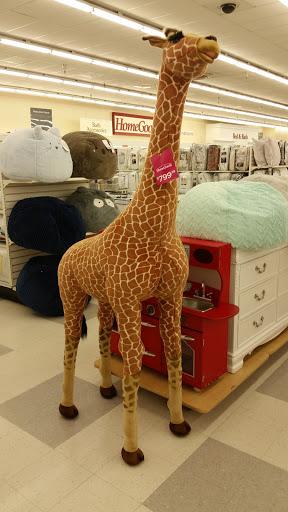 Department Store «HomeGoods», reviews and photos, 344 W Army Trail Rd, Bloomingdale, IL 60108, USA