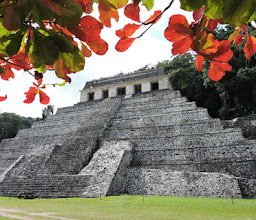 Condor Verde Travel photo