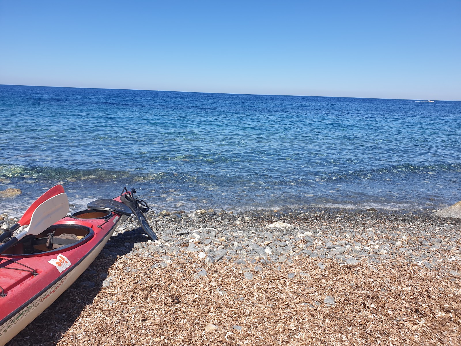 Foto van Punta Polveraia Beach wilde omgeving
