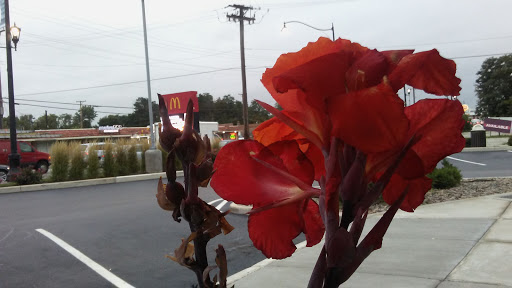 Window Installation Service «Euro-Tech, Inc.», reviews and photos