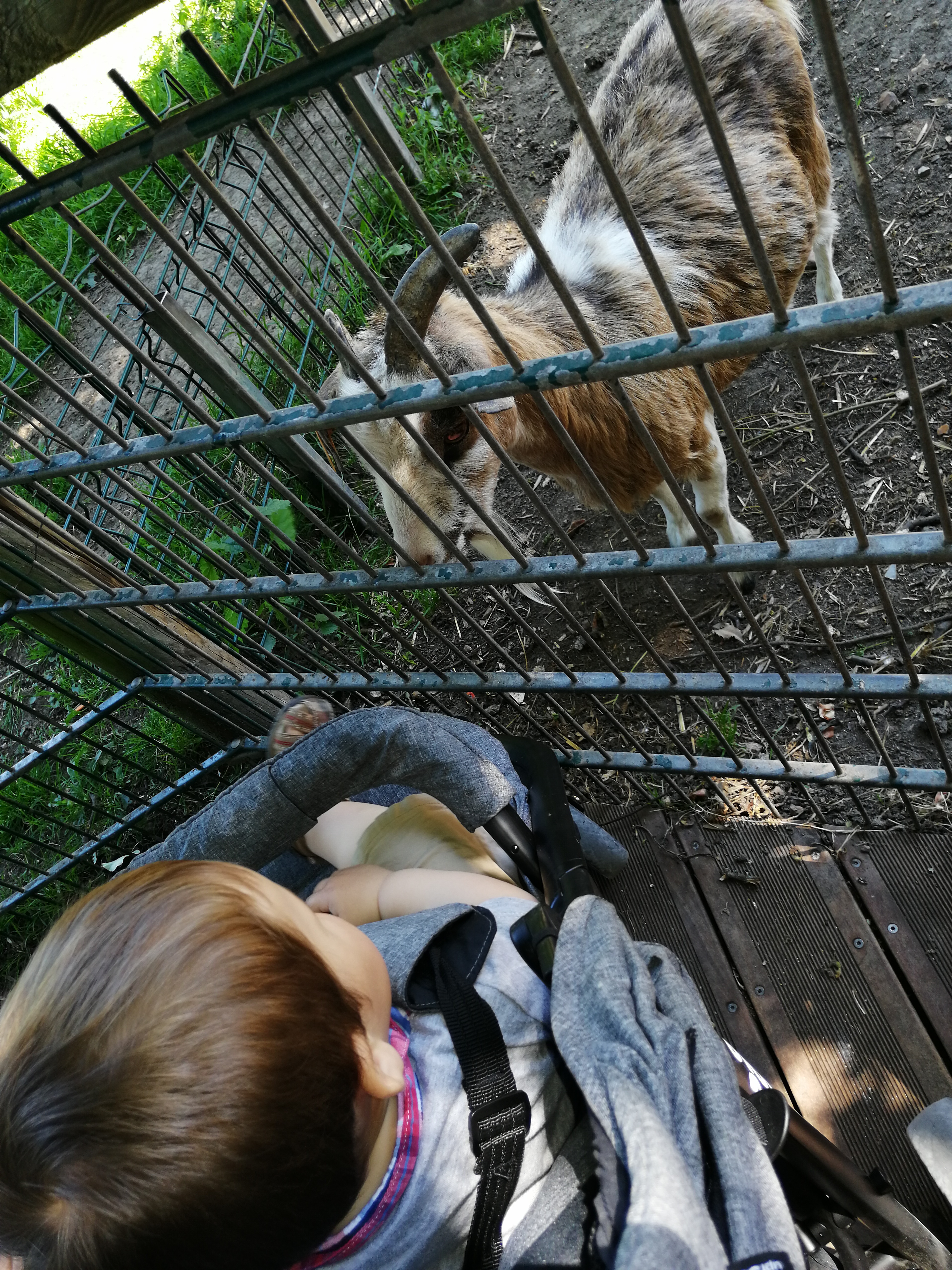 Photo n° 1 de l'avis de Angelique.i fait le 22/06/2019 à 13:43