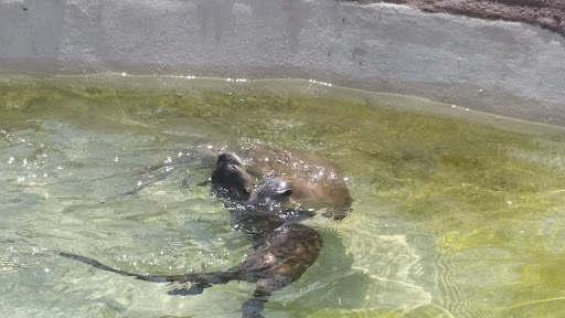 Zoo «Red River Zoo», reviews and photos, 4255 23rd Ave S, Fargo, ND 58104, USA