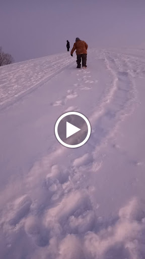 Park «Dellwood Park», reviews and photos, IL-171 & Woods Dr, Lockport, IL 60441, USA