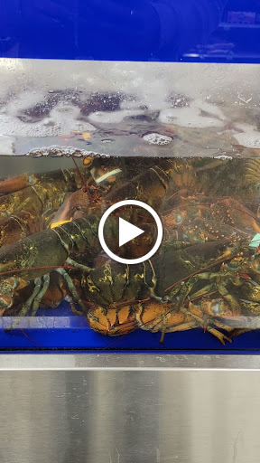 Grocery Store «Hannaford Supermarket», reviews and photos, 225 High St, Ellsworth, ME 04605, USA