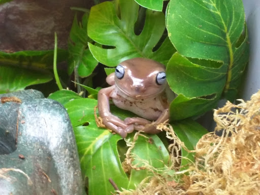 Pet Supply Store «Petco Animal Supplies», reviews and photos, 3012 Bridgepointe Pkwy, San Mateo, CA 94404, USA