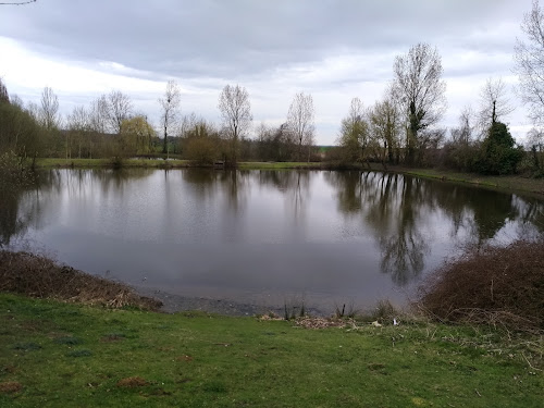 Les étangs de Saint Witz à Saint-Witz